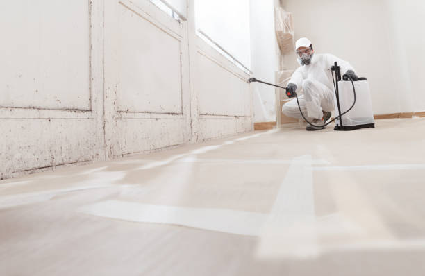 24/7 Emergency Mold Testing experts in White Plains, VA