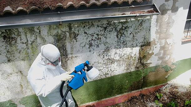 Trusted Mold Testing service in White Plains, VA - Cheap Mold Removal